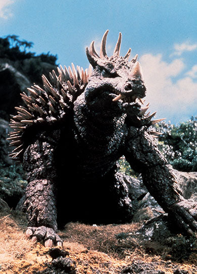 ANGUIRUS