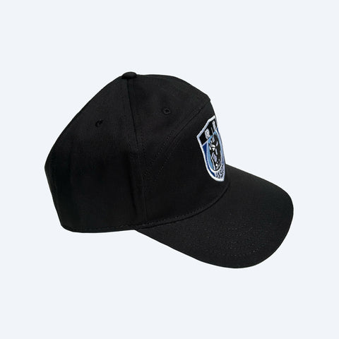 JXSDF Patch Hat